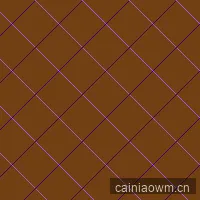 自行车迷